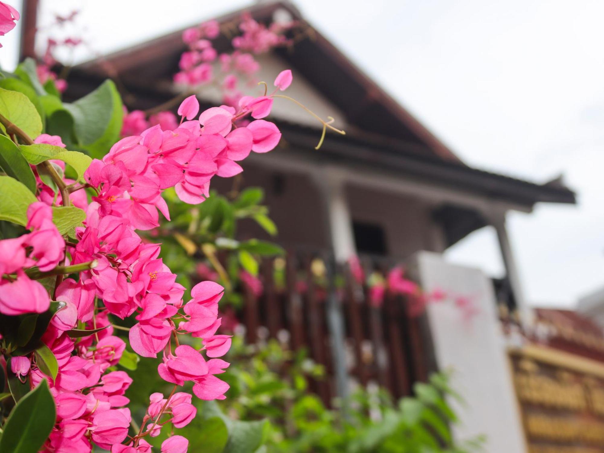 Nirasim Villa Луанг Прабанг Екстериор снимка